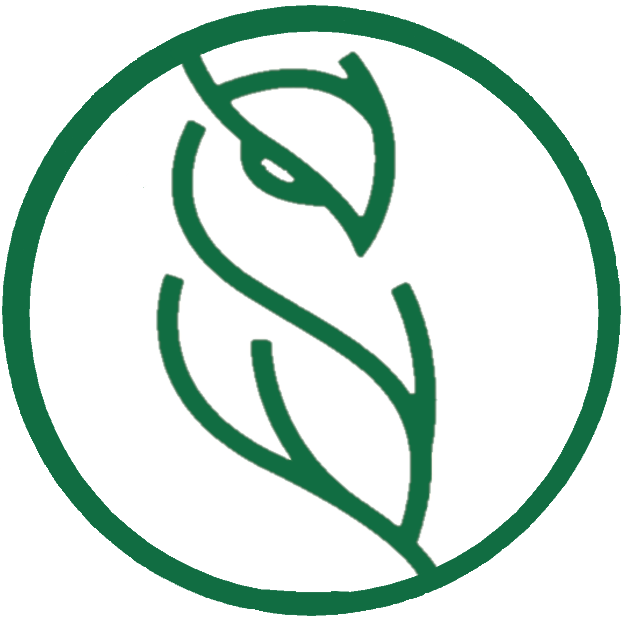 Green Eyed Owl Studio